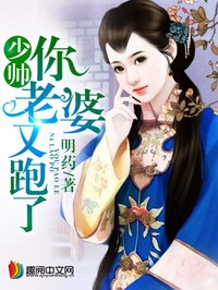 少帥你老婆又跑了小說