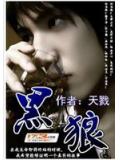 殺手之王縱橫都市：黑狼小說