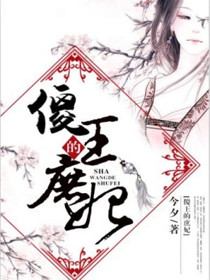 傻王的庶妃小說