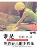 誰是你青春裡的木棉花小說