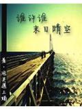 誰許誰末日晴空小說