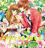 聖寶利亞皇家貴族學院小說