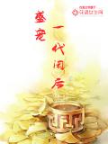 盛寵一代閒後小說