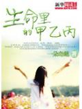 生命裡的甲乙丙小說