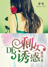 剩女的誘惑小說