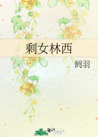 剩女林西小說