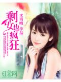 剩女也瘋狂小說