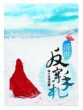 盛世反穿手札小說