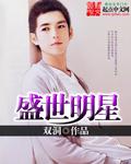 盛世明星小說