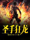聖手狂龍小說