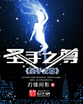 聖手之尊小說