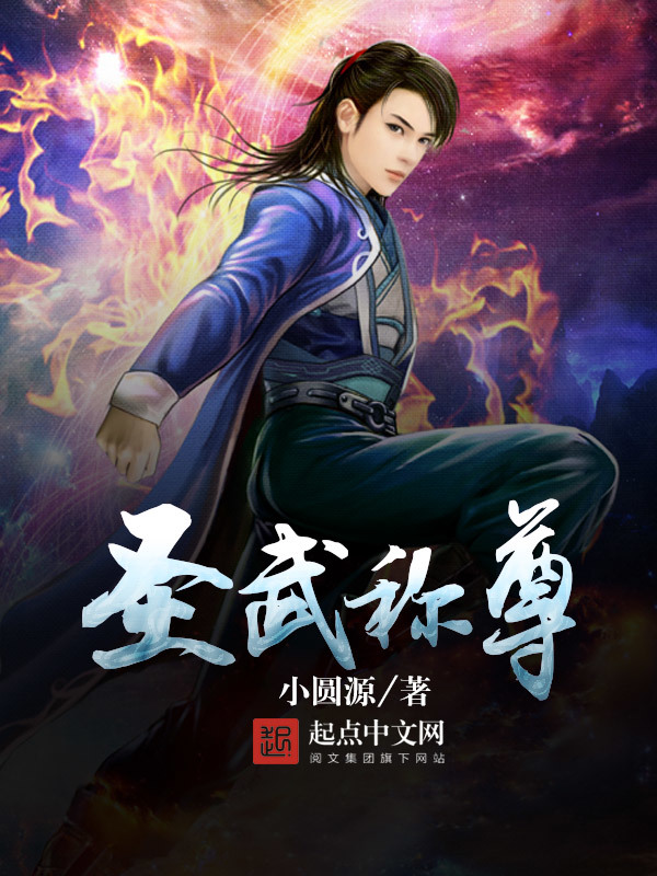 聖武稱尊小說