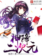 神降二次元小說