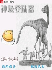 神級登陸器小說
