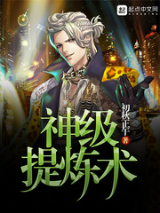 神級提煉術小說