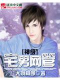 神級宅男網管小說