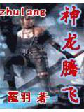 神龍騰飛小說