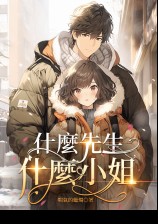 什麼先生什麼小姐小說