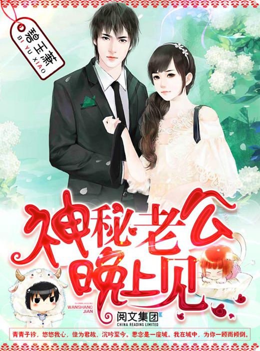 神秘老公，晚上見！小說