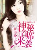 神秘首席來襲，嬌妻晚上見小說