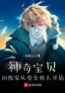 神奇寶貝：訓練家從賞金獵人開始小說