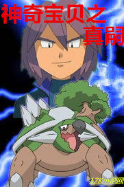 神奇寶貝之真嗣小說
