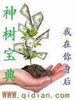 神樹寶典小說