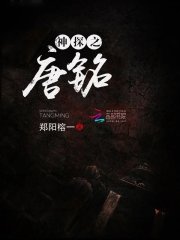 神探之唐銘小說