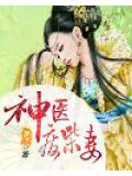 神醫廢材妻小說