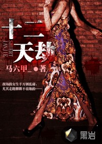 十二天劫小說