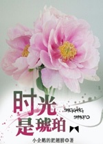 時光是琥珀小說