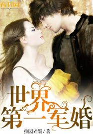 世界第一軍婚小說