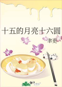 十五的月亮十六圓小說