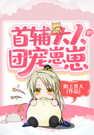 首輔大人的團寵崽崽小說