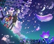 守護甜心之尋找丟失的羽毛小說