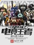 守望先鋒之電競王者小說