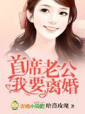 首席老公,我要離婚!小說
