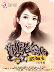 首席老公求名分:惹愛成災小說