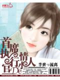 首席執行官小說