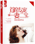 首席專寵一妻二寶小說