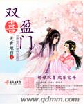 雙喜盈門小說