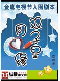 雙子星同心緣小說