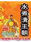 水煮清王朝小說
