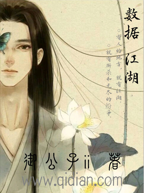 數據江湖小說