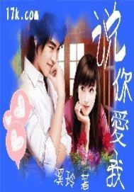 說你愛我小說