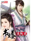 書生美女恩仇錄小說