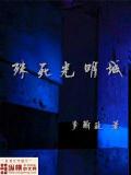 殊死光明城小說
