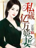 私藏億萬嬌妻小說