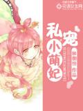 私寵小萌妃小說