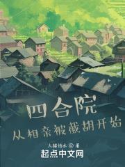 四合院：從相親被截胡開始小說